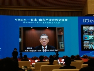对话山东