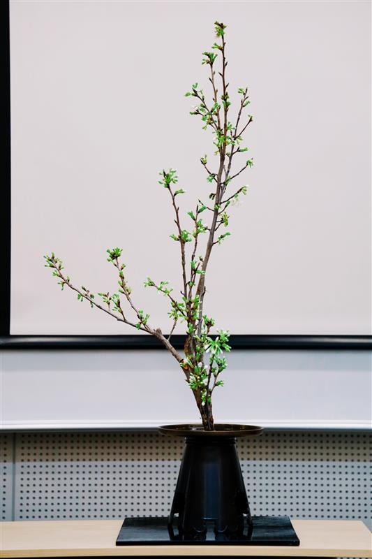 我馆举办“插花体验活动”（2026年3月17日）